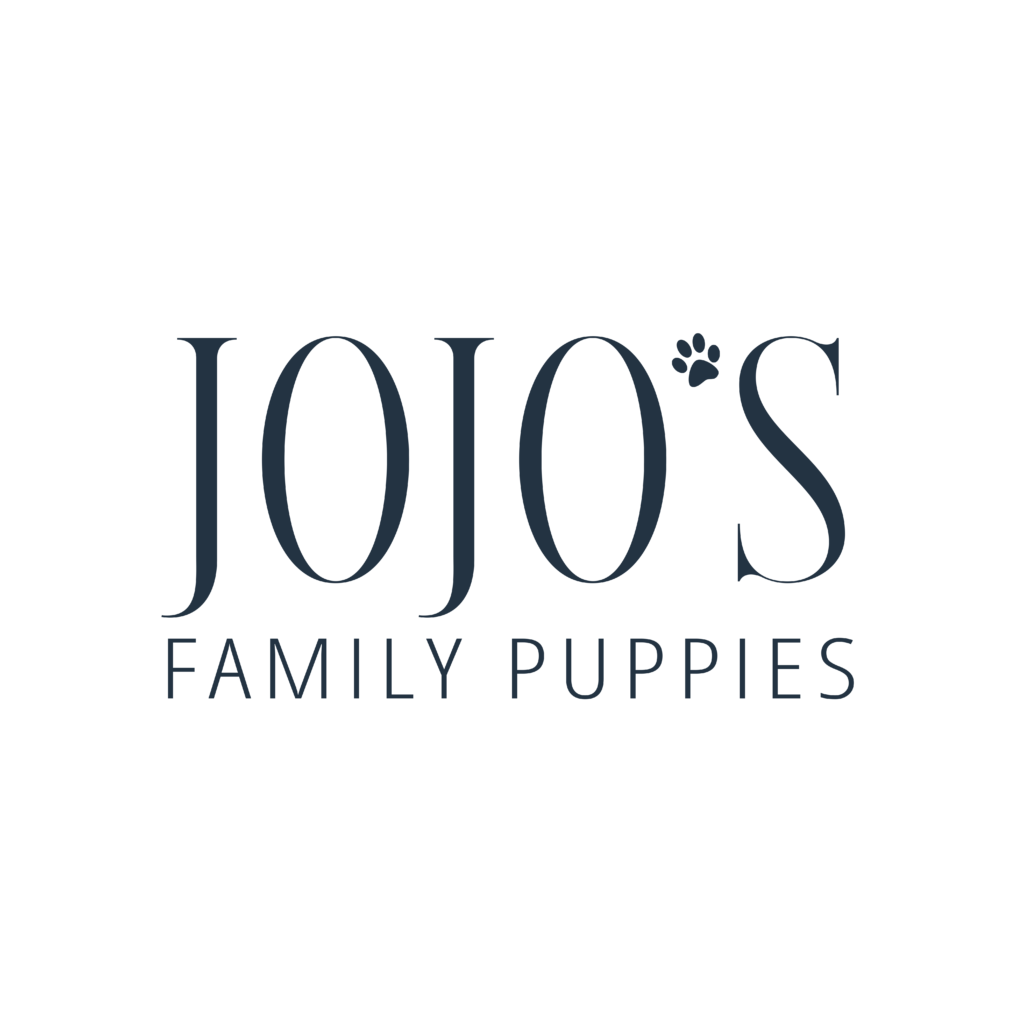 Available Puppies JoJo's Puppies